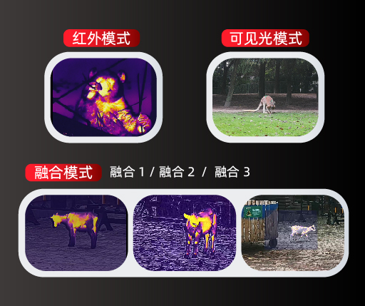 maidiantu-05zhongwen-1